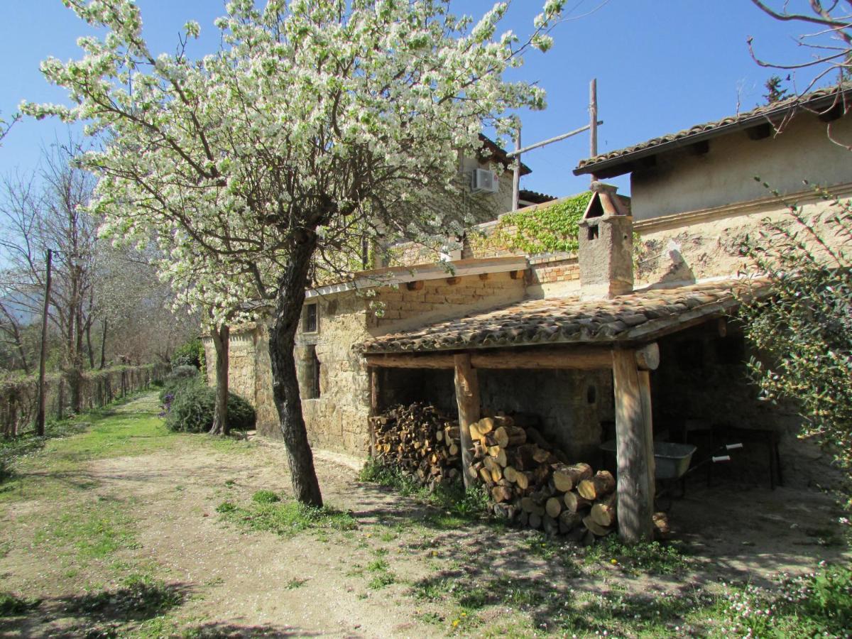 Agriturismo Borgo Madonna Degli Angeli - Charming In The Gardens ! Tocco da Casauria