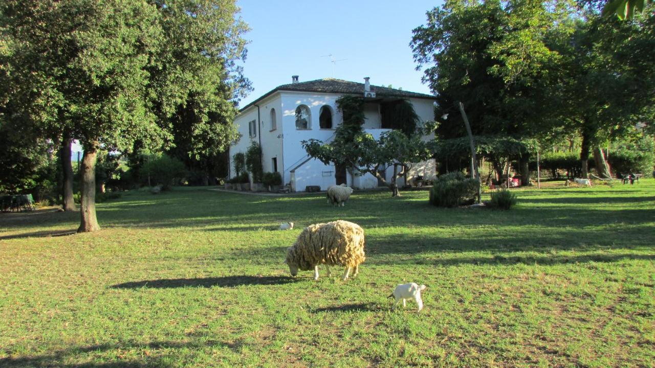 Agriturismo Borgo Madonna Degli Angeli - Charming In The Gardens ! Alloggio per agriturismo
