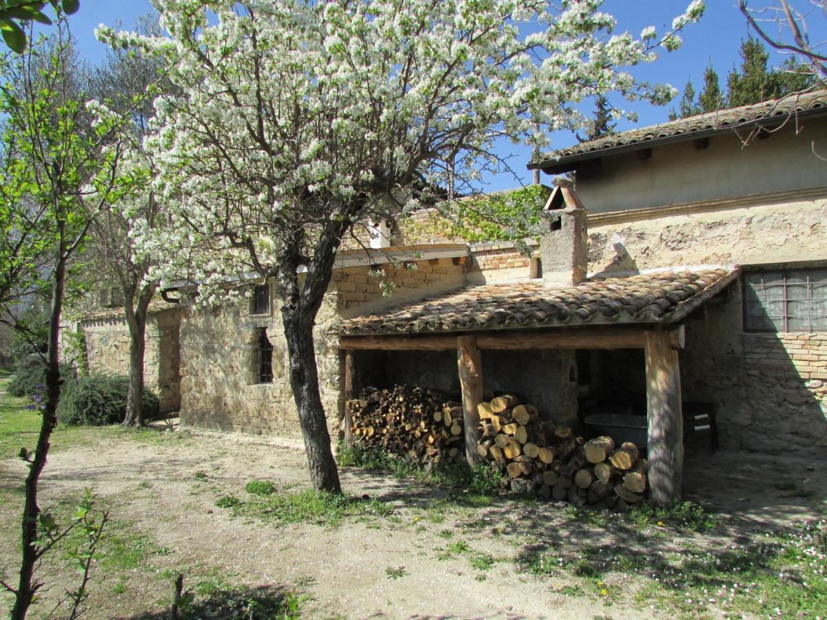 Agriturismo Borgo Madonna Degli Angeli - Charming In The Gardens ! Alloggio per agriturismo *