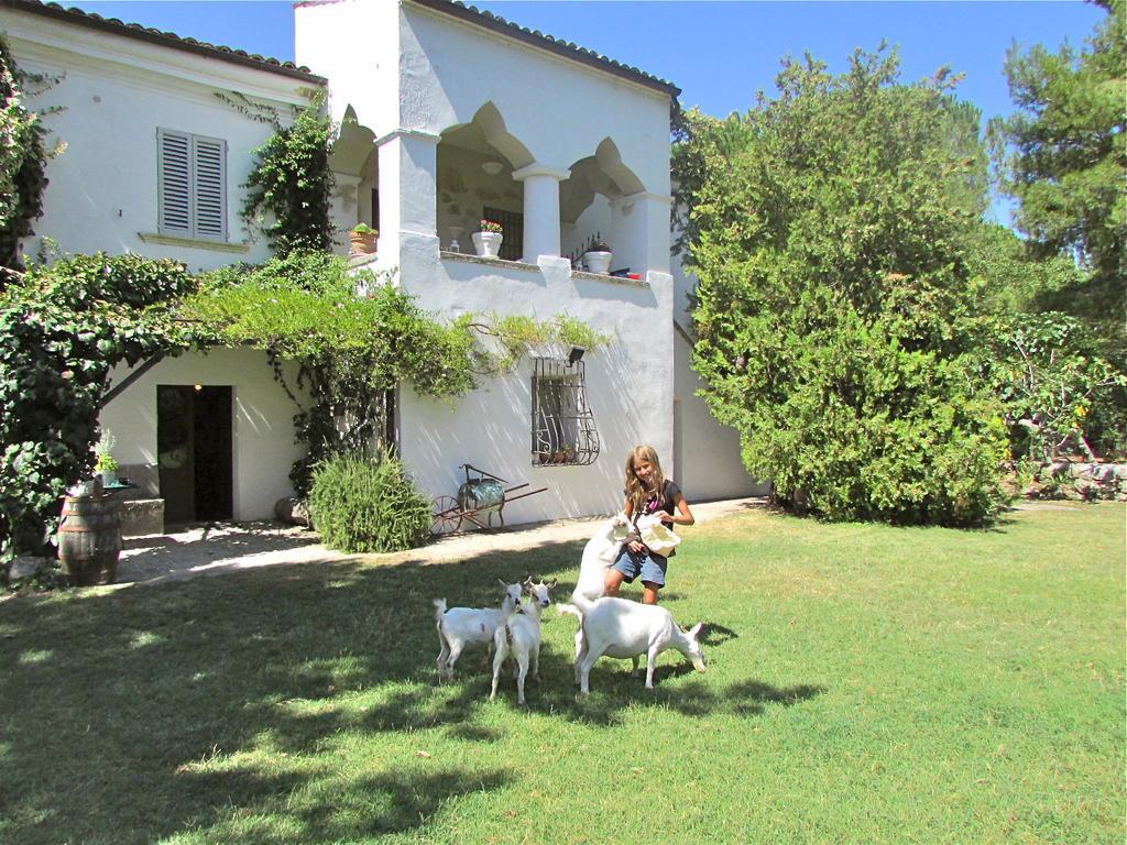 Alloggio per agriturismo Agriturismo Borgo Madonna Degli Angeli - Charming In The Gardens ! Tocco da Casauria